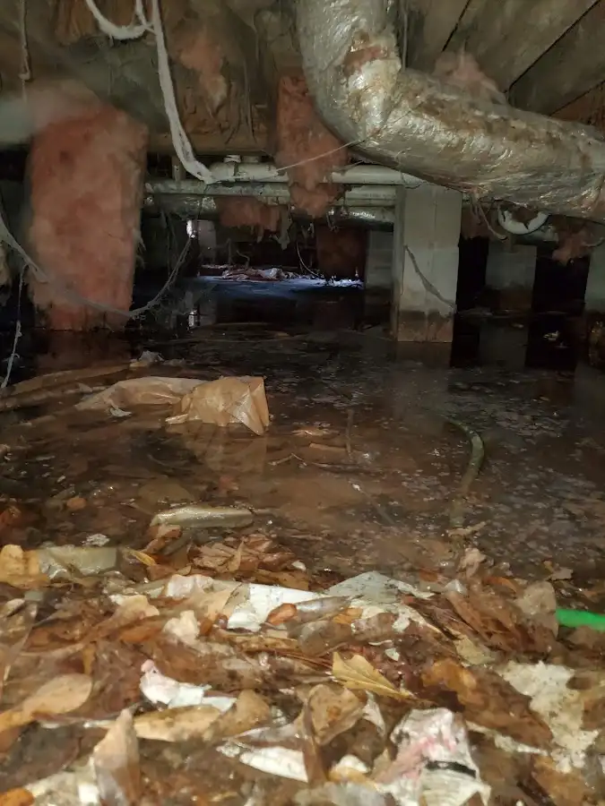 Crawl space flood assessment for Commercial Water Damage Restoration in Ewa Villages